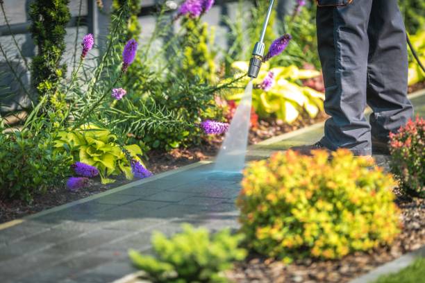 Best Sidewalk and Walkway Cleaning  in Kyle, SD